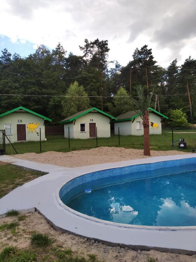 Domki Pod Lasem Płońsk 외부 사진