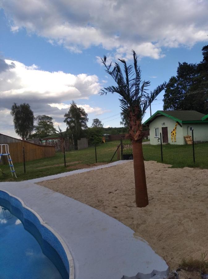 Domki Pod Lasem Płońsk 외부 사진